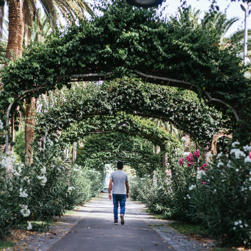  Parque García Sanabria